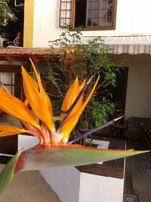 Casa Roberta Villa Monte de Brena Екстериор снимка