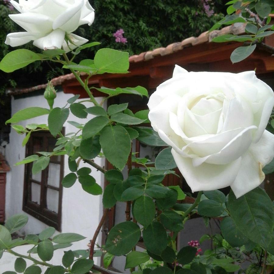 Casa Roberta Villa Monte de Brena Екстериор снимка